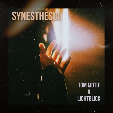 Synesthesia ft. Tom Motif | Boomplay Music