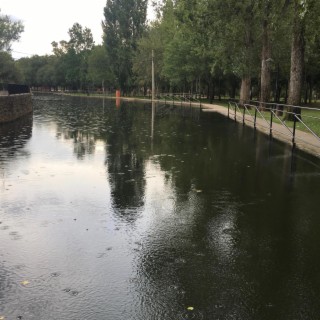 DESPUÉS DE LA LLUVIA