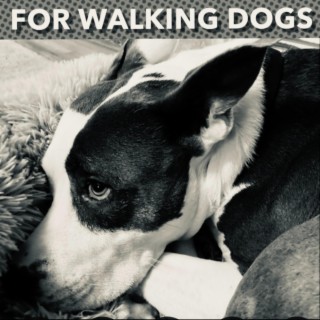 FOR WALKING DOGS