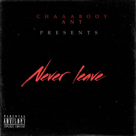 NEVER LEAVE | Boomplay Music