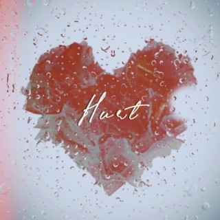 Hurt lyrics | Boomplay Music