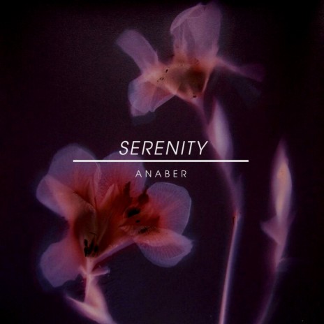 Serenity | Boomplay Music