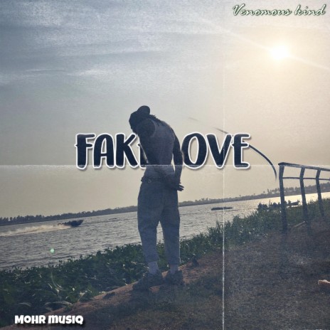 Fake Love | Boomplay Music