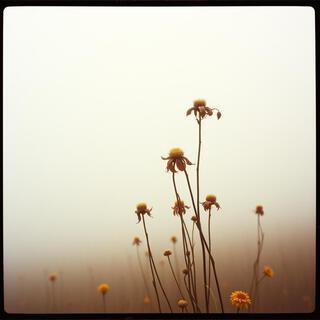 Naturaleza Muerta