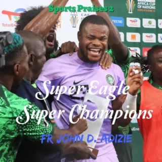 Super Eagles Super Champions