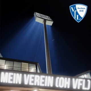Mein Verein (Oh VfL) lyrics | Boomplay Music