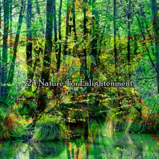 24 Nature For Enlightenment