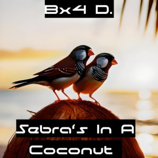 Sebra's in a Coconut