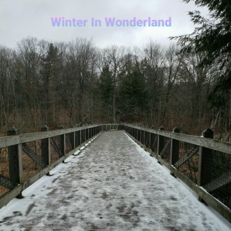 Winter In Wonderland
