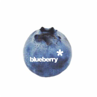 blueberry*album