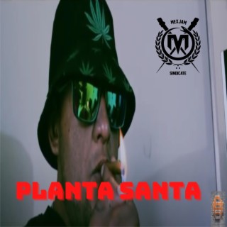 PLANTA SANTA