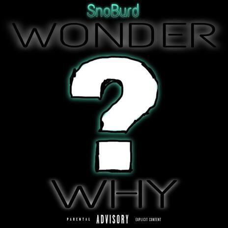 WONDER WHY | Boomplay Music