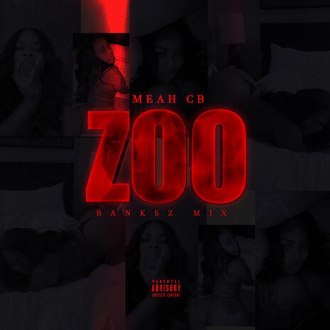 ZOO (Banksz Mix) | Boomplay Music