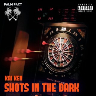 Shots In The Dark