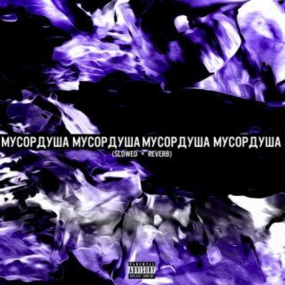 Мусордуша (Slowed + Reverb)