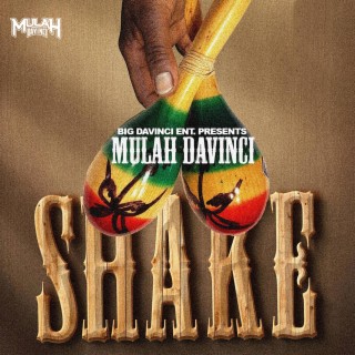 Shake (Radio Edit)