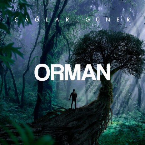 Orman | Boomplay Music