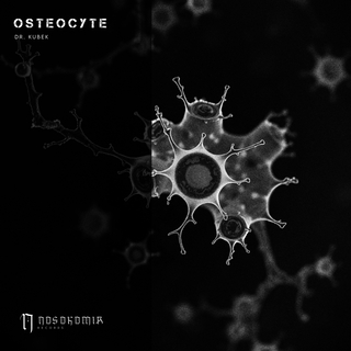 Osteocyte