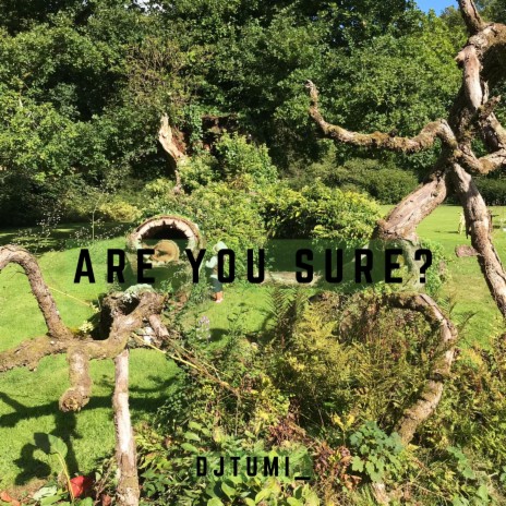ARE YOU SURE? (Single) | Boomplay Music