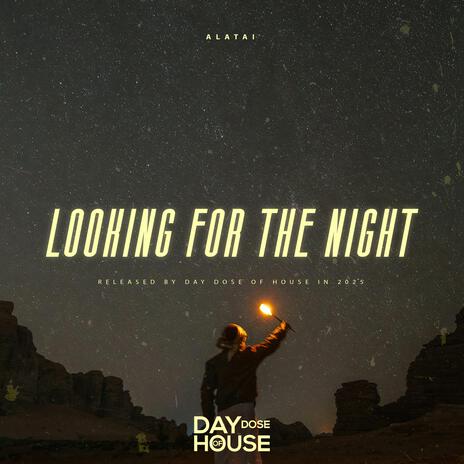 Looking For The Night | Boomplay Music