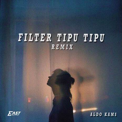 FILTER TIPU TIPU (REMIX) | Boomplay Music