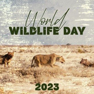 World Wildlife Day 2023 - Born To Be Wild