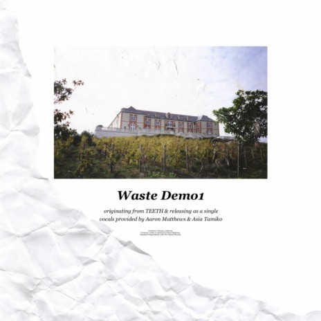 Waste Demo1 | Boomplay Music