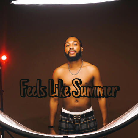 Feels Like Summer | Boomplay Music