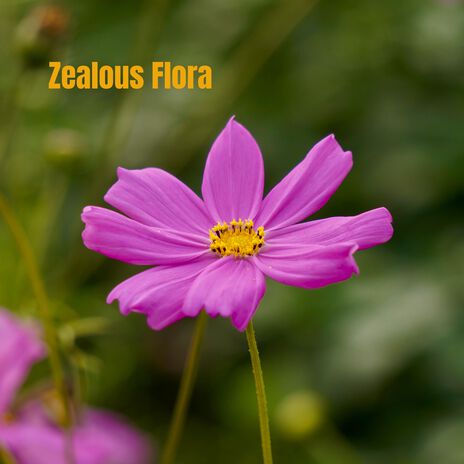 Zealous Flora | Boomplay Music