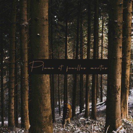 Plume et Feuilles Mortes | Boomplay Music