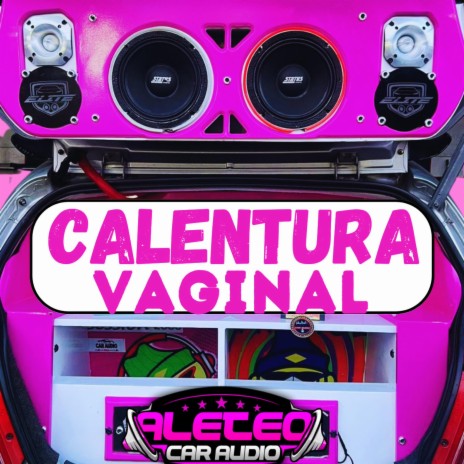 Calentura Vaginal Car Audio