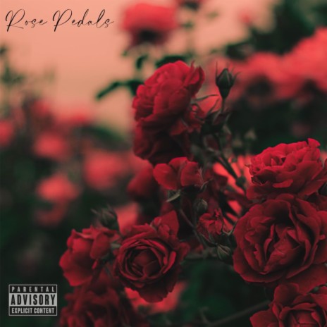 Rose Pedals ft. SBChrome | Boomplay Music