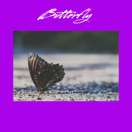 Butterfly (SLOWED) ft. Hydro | Boomplay Music