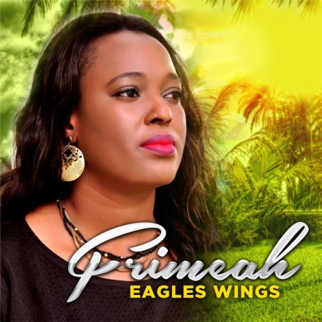 Eagles Wings | Boomplay Music