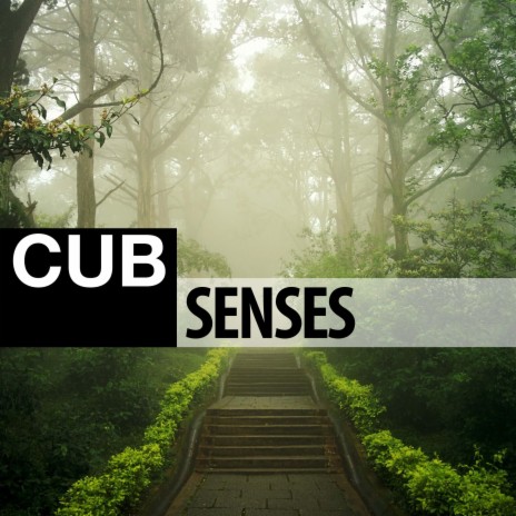 Senses | Boomplay Music