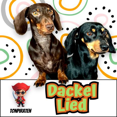 Das Dackel Lied | Boomplay Music