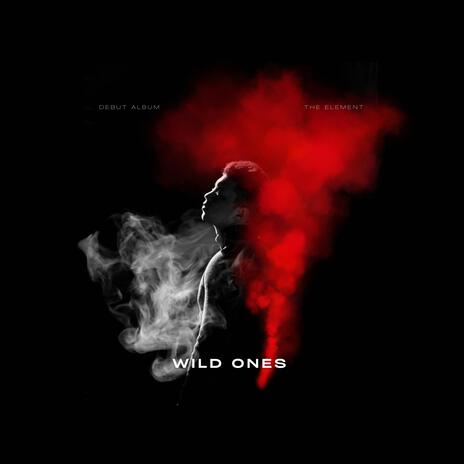 WILD ONES | Boomplay Music