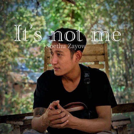 It's not me | Boomplay Music