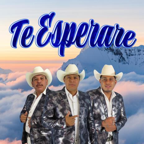 Te esperare | Boomplay Music