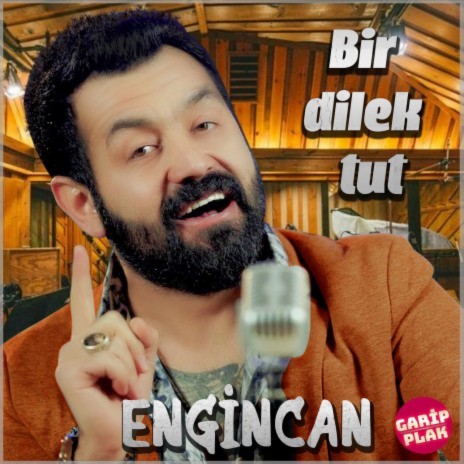 Bir Dilek Tut (Ankara Oyun Havası) | Boomplay Music