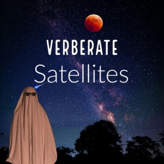 Satellites