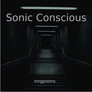 Sonic Conscious