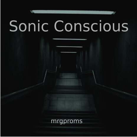 Sonic Conscious | Boomplay Music