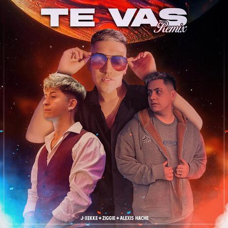 Te vas (Remix)(Ft Ziggie & Alexis Hache) ft. Alexis Hache & Ziggie | Boomplay Music