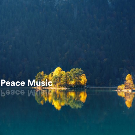 Gravity ft. The Solfeggio Peace Orchestra & Sacred Solfeggio Frequencies
