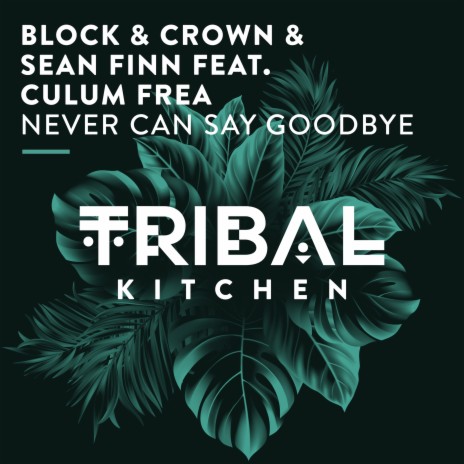 Never Can Say Goodbye (Radio Edit) ft. Sean Finn & Culum Frea | Boomplay Music