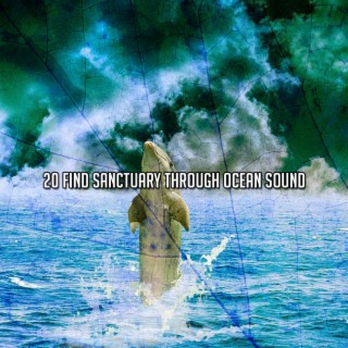 20 Find Sanctuary Through Ocean Sound