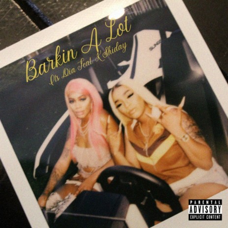 Barkin A Lot (Radio Edit) ft. K Shiday | Boomplay Music