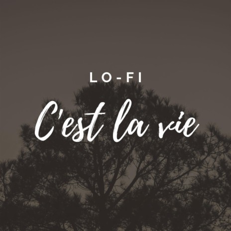 C'est la vie (Lo-fi) | Boomplay Music