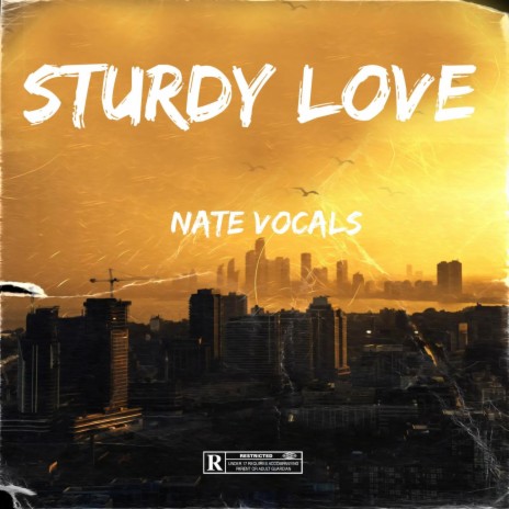 Sturdy Love (remix) | Boomplay Music